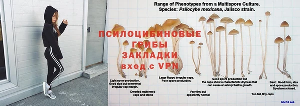 соль курить ск Богородицк