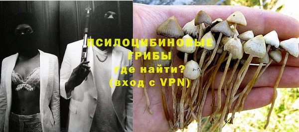 мет Бородино